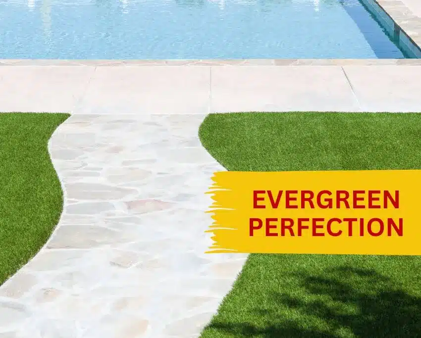 Artificial Grass Dublin evergreen perfection